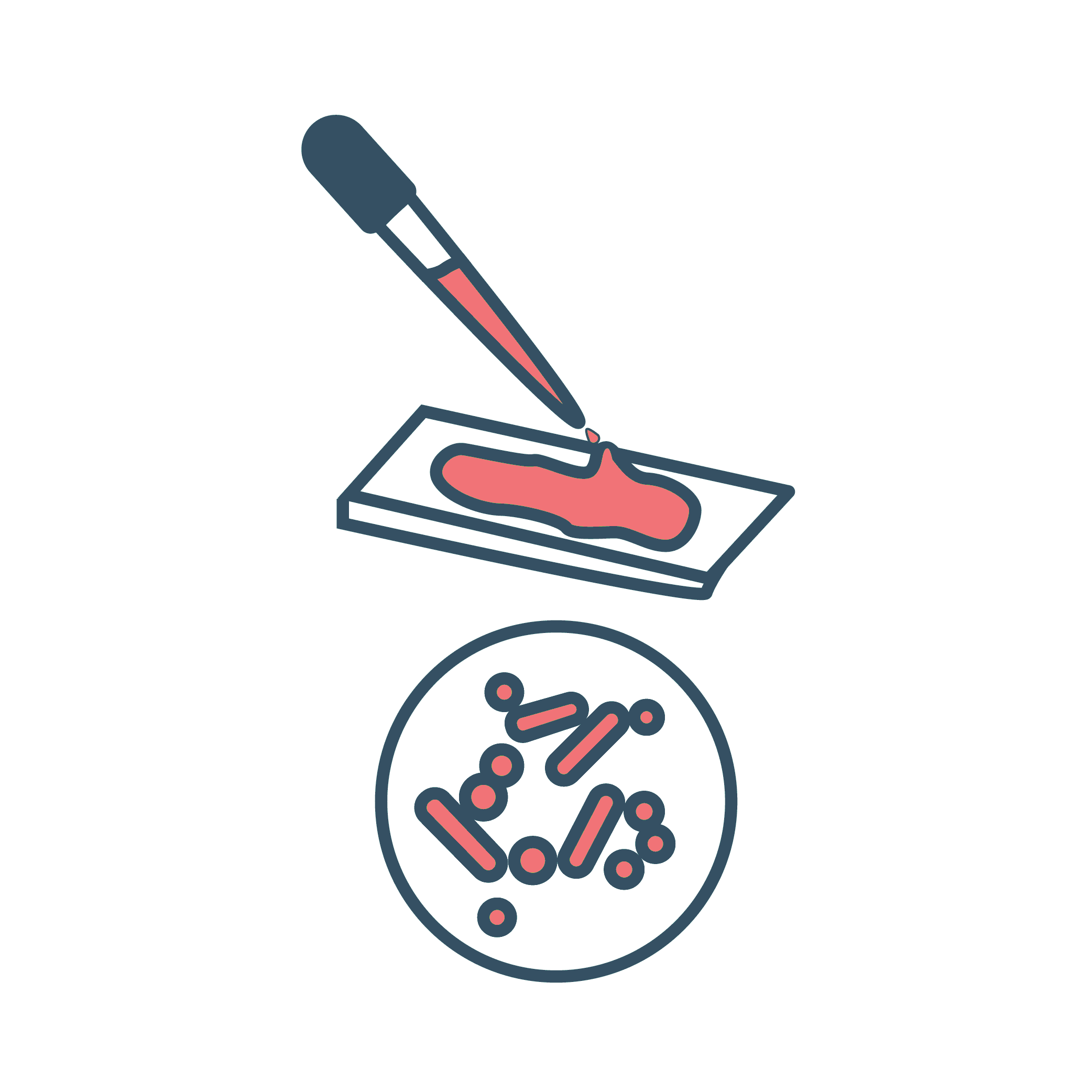 Cell Staining