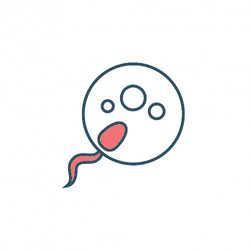 Intracytoplasmic Sperm Injection (ICSI)