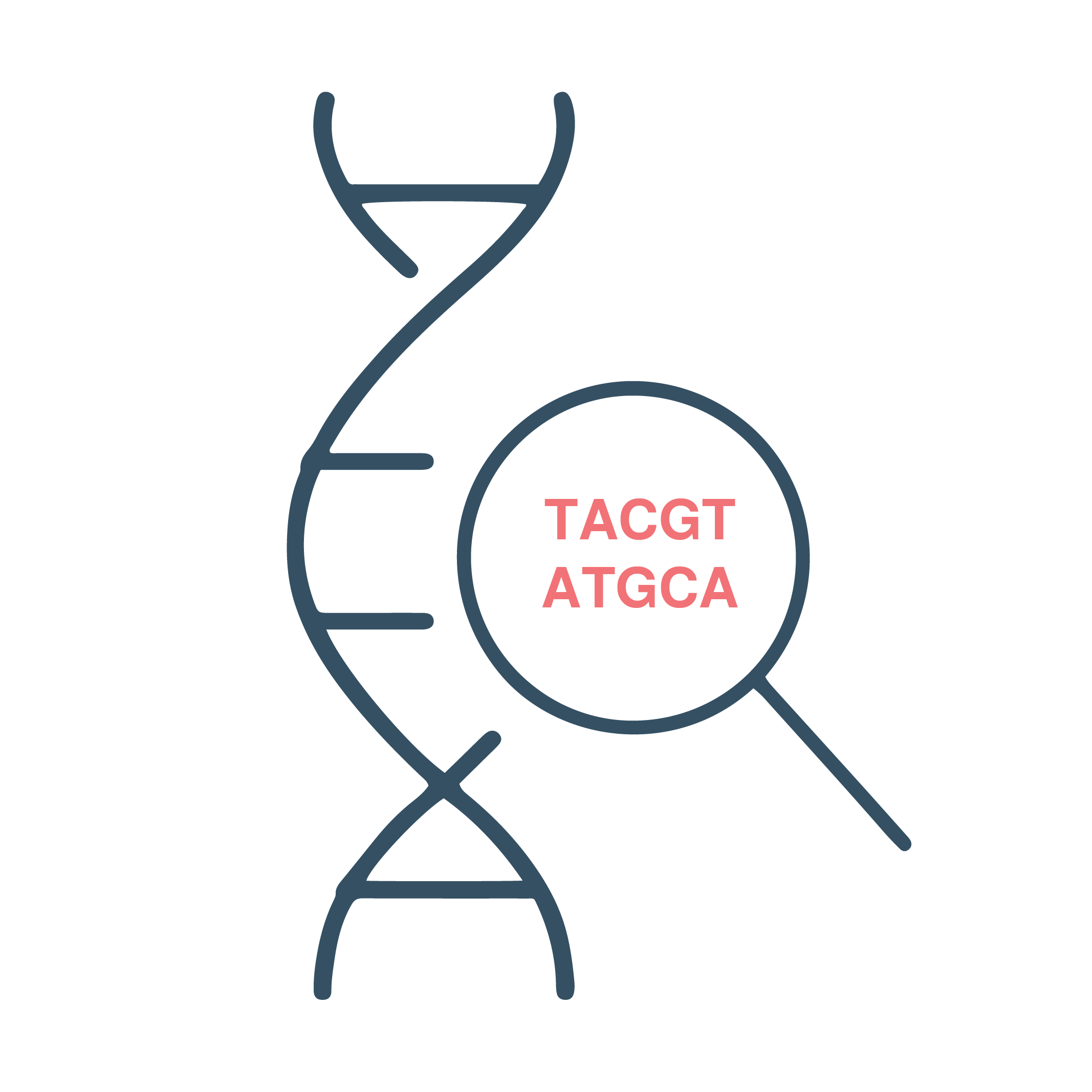 DNA Sequencing