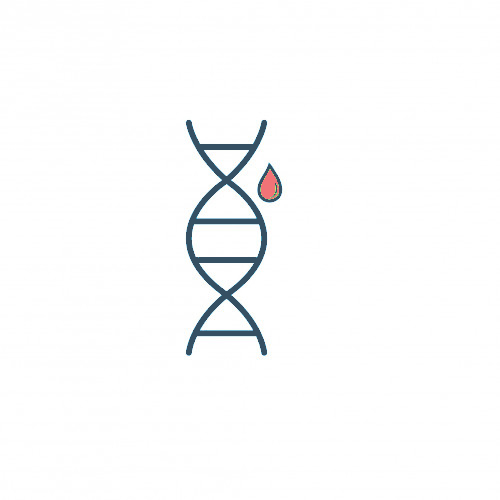 Nucleic Acids Purification & Extraction