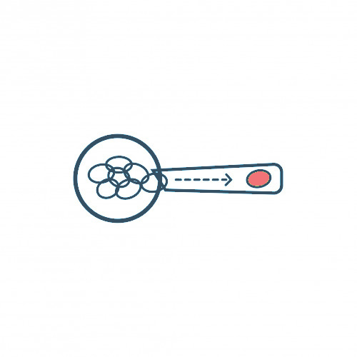 Preimplantation Genetic Diagnosis (PGD)