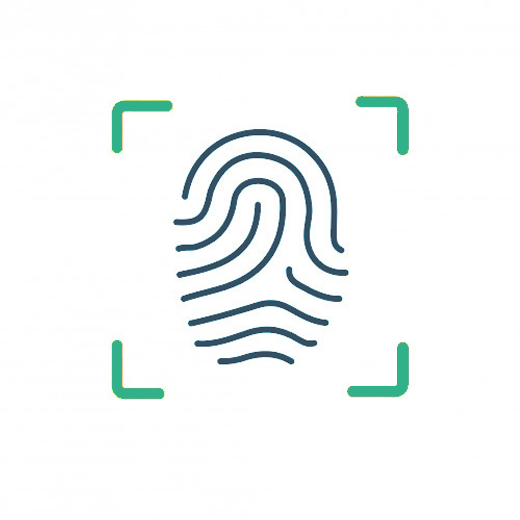 Human Identification