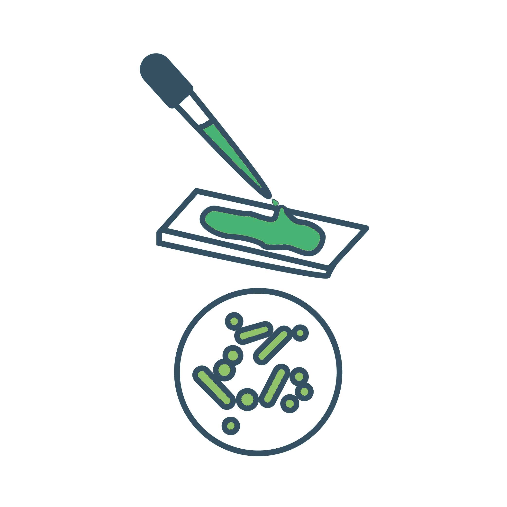 Cell Staining