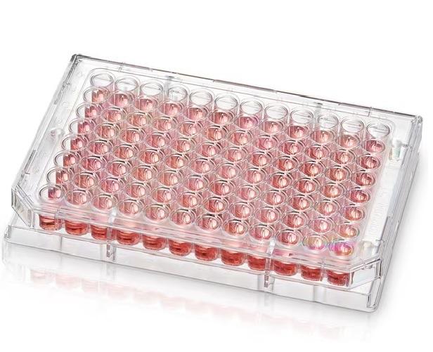 Thermo Scientific™ 96 Well Round (U) Bottom Plate, TC Surface, No Lid