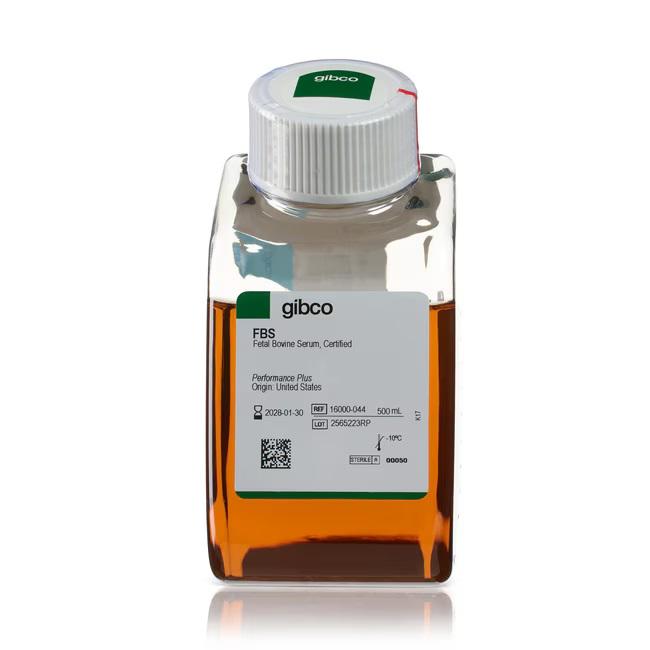 Gibco™ Fetal Bovine Serum, certified, One Shot™ format, United States, 500 mL