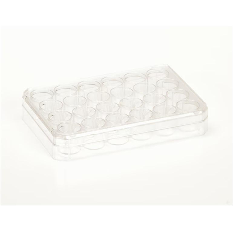 Nunc™ Cell-Culture Treated 24 well plates