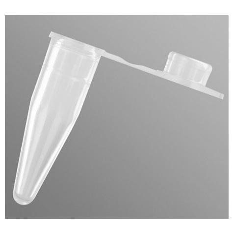 Axygen® Thin Wall PCR Tubes with Flat Cap, Clear, Nonsterile, 0.5 mL