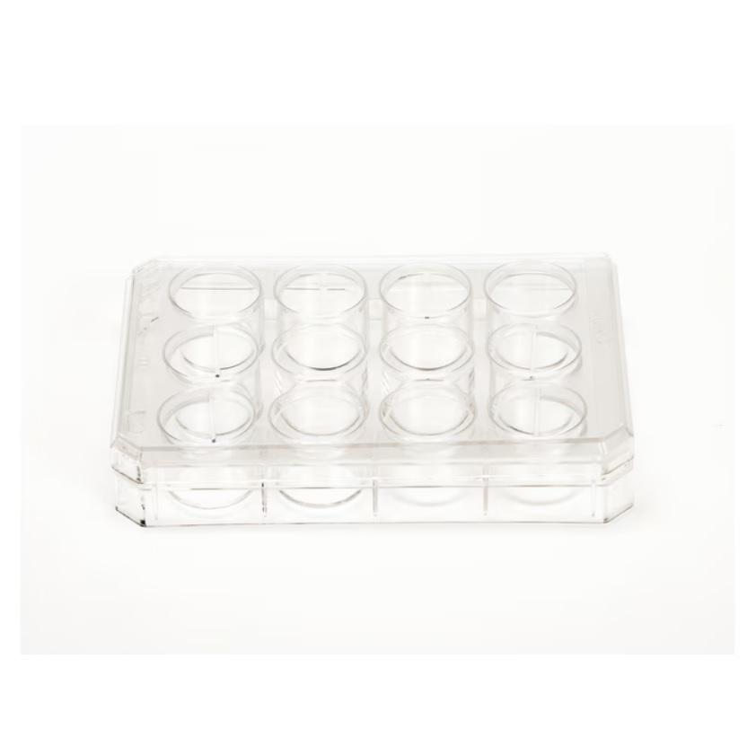 Nunc™ Cell-Culture Treated 12 well plates