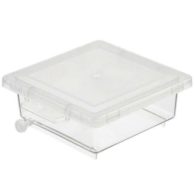 Thermo Scientific™ Nalgene™ Staining Box, Case of 2