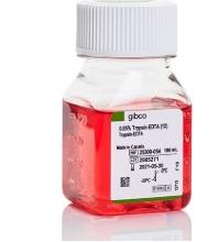 Gibco™ Trypsin-EDTA (0.05%), Phenol Red, 100 mL