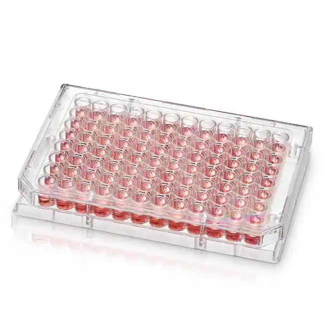 Nunc™ MicroWell™ 96-Well Microplates, Barcoded, Case of 50