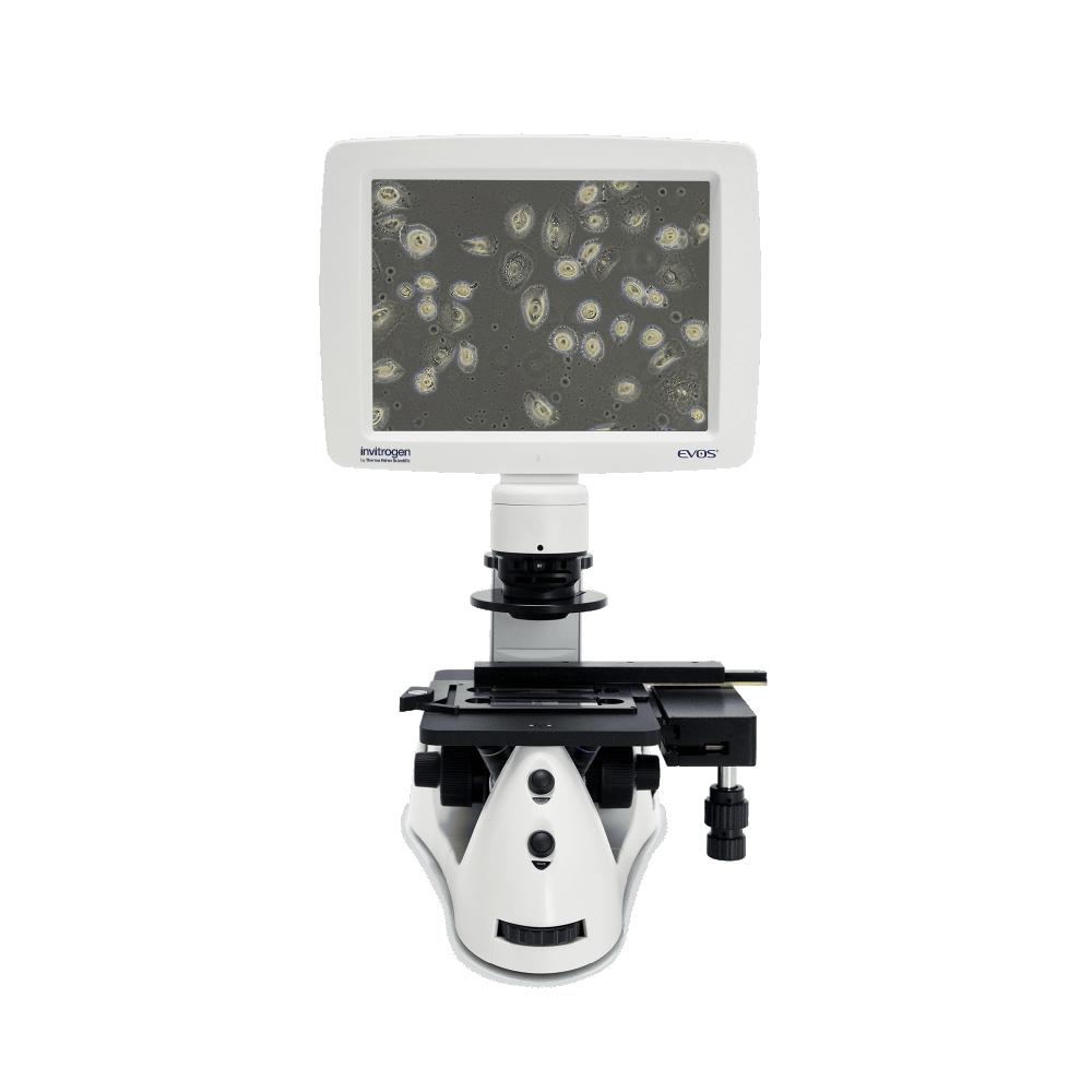 EVOS™ XL Core Configured Microscope with Mechanical Stage