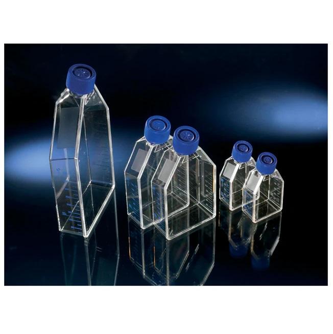 Nunc™ Cell Culture Treated Flasks 175 cm with Filter Caps