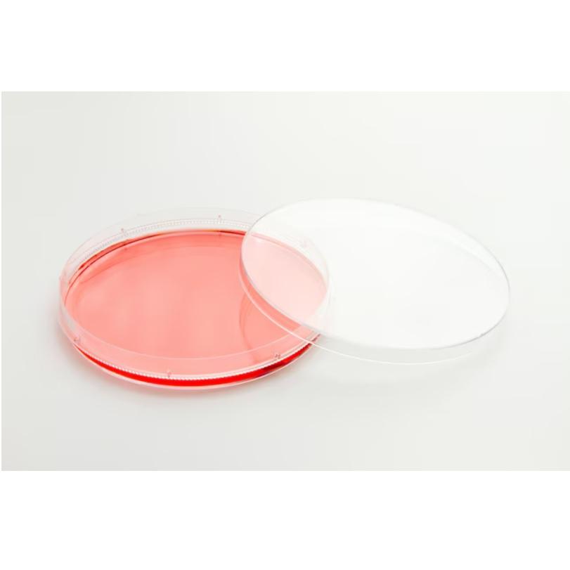 Nunc™ EasYDish™ Dishes 60mm