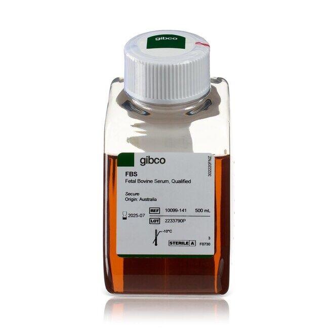 Gibco™ Fetal Bovine Serum, qualified, One Shot™ format, Australia, 500 mL