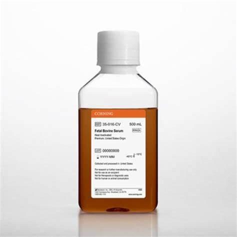 Corning® Fetal Bovine Serum, 500 mL, Premium, United States Origin (Heat Inactivated)