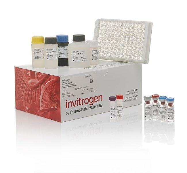 Invitrogen TNF alpha Bovine ELISA Kit, 96 Tests