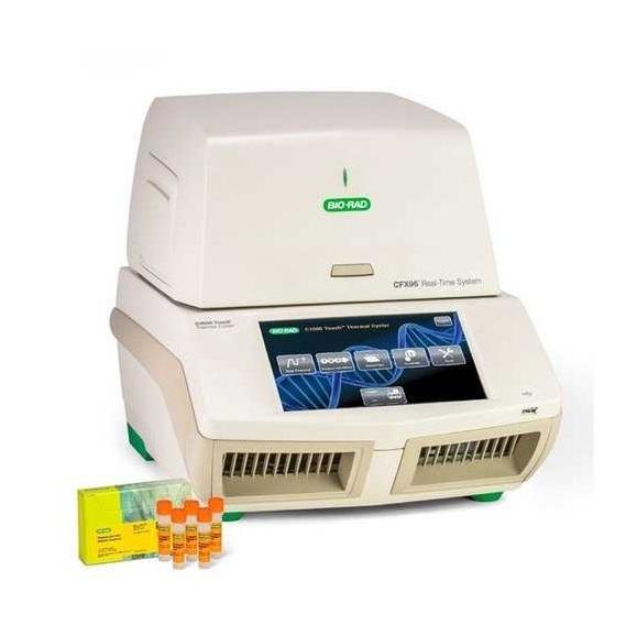 Real-Time PCR Detection System, CFX96