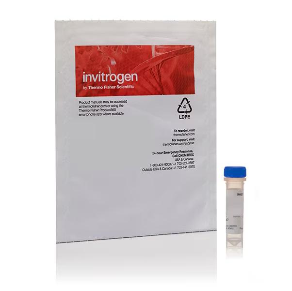 Invitrogen™ Cholera Toxin Subunit B (Recombinant), Alexa Fluor™ 555 Conjugate, 100 µg