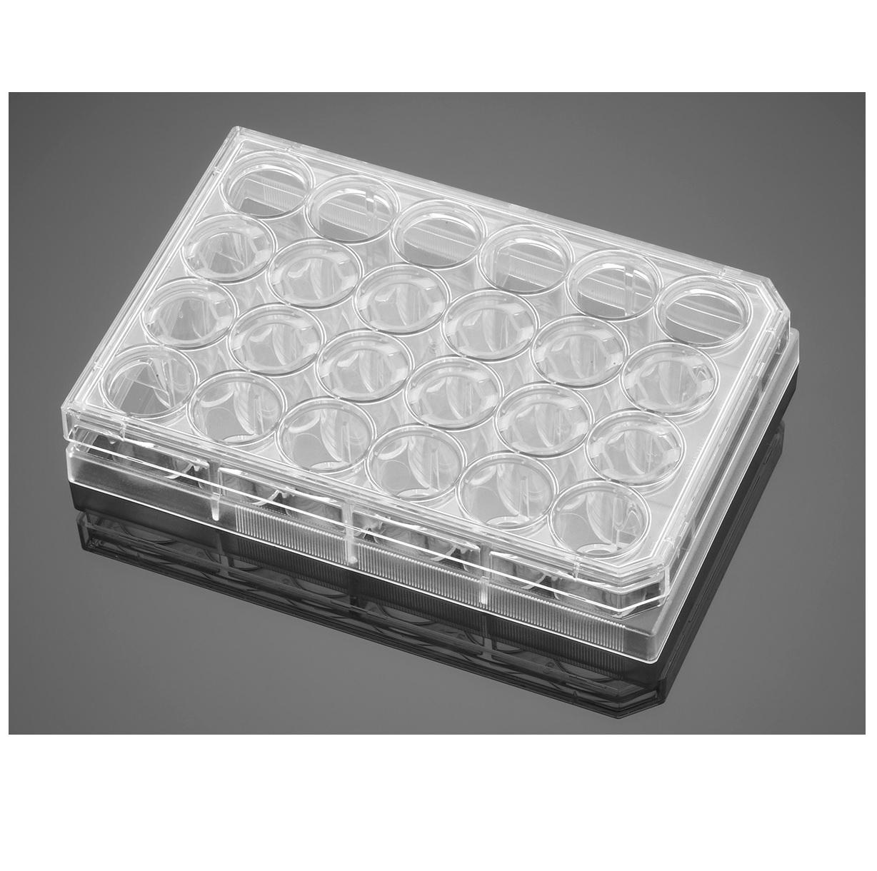 Falcon® 24-well Clear Flat Bottom TC-treated Multiwell Cell Culture Plate, with Lid, Sterile, 60/Case