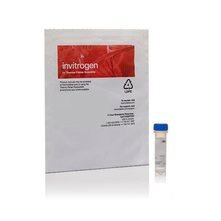 Invitrogen™ Cholera Toxin Subunit B (Recombinant), Alexa Fluor™ 488 Conjugate, 100 µg