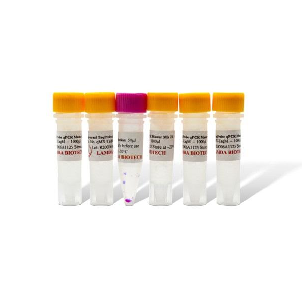 Applied Biosystems™ TaqMan™ Fast Reagent Starter Kit