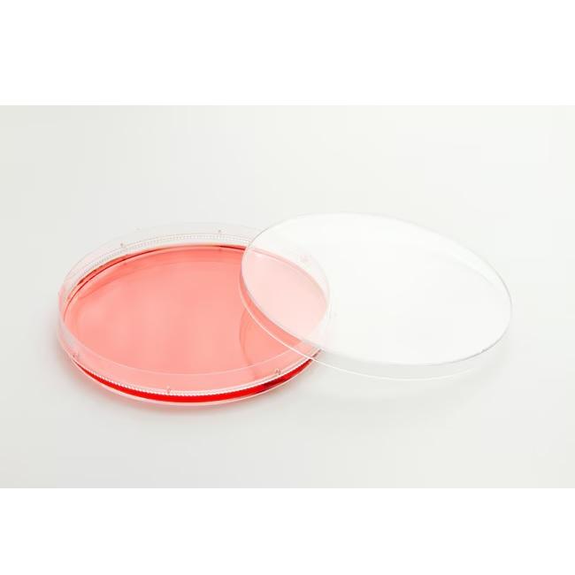 Nunc™ EasYDish™ Dishes 100mm